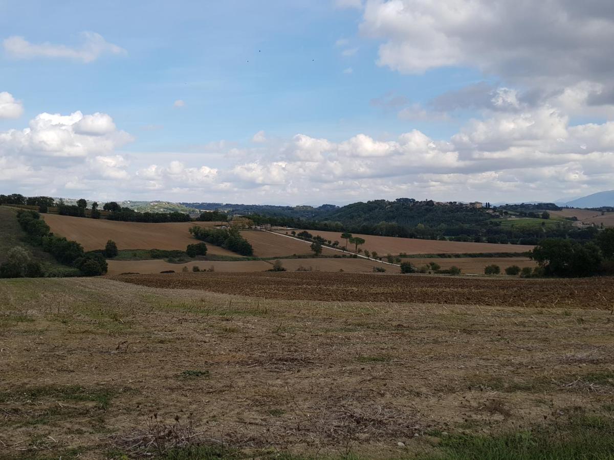 Agriturismo Il Pappamerlo Pila  المظهر الخارجي الصورة
